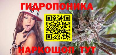 гидропоника Нальчик