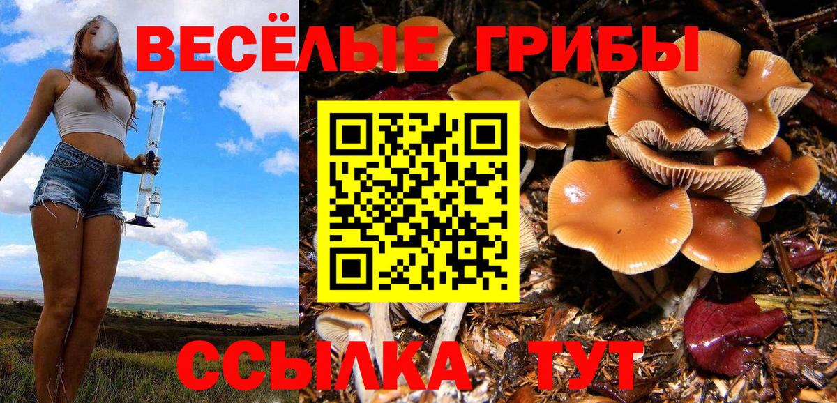 Псилоцибиновые грибы Magic Shrooms  Вход с VPN  Галлюциногенные грибы Cubensis  Семилуки 